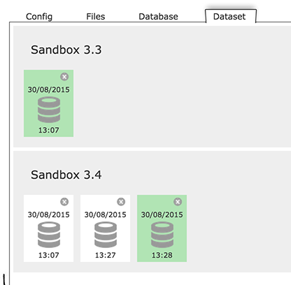 Dataset Manager